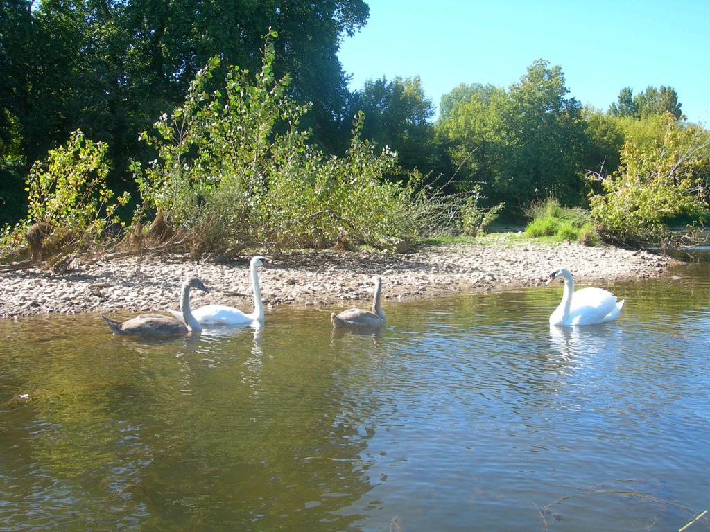 Moulin Des Sandaux Sainte-Foy-la-Grande Εξωτερικό φωτογραφία