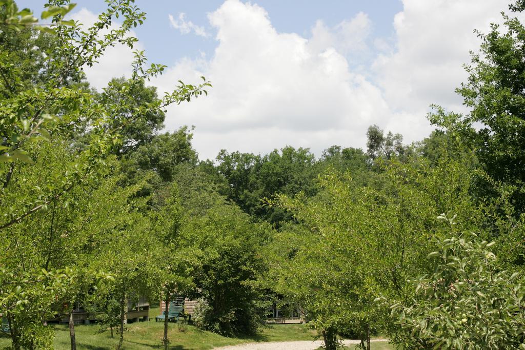 Moulin Des Sandaux Sainte-Foy-la-Grande Δωμάτιο φωτογραφία